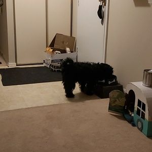 Meet your Posher, Derek